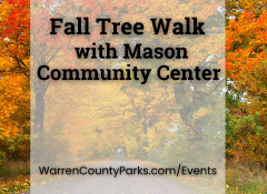 yellow, orange, and red fall trees
